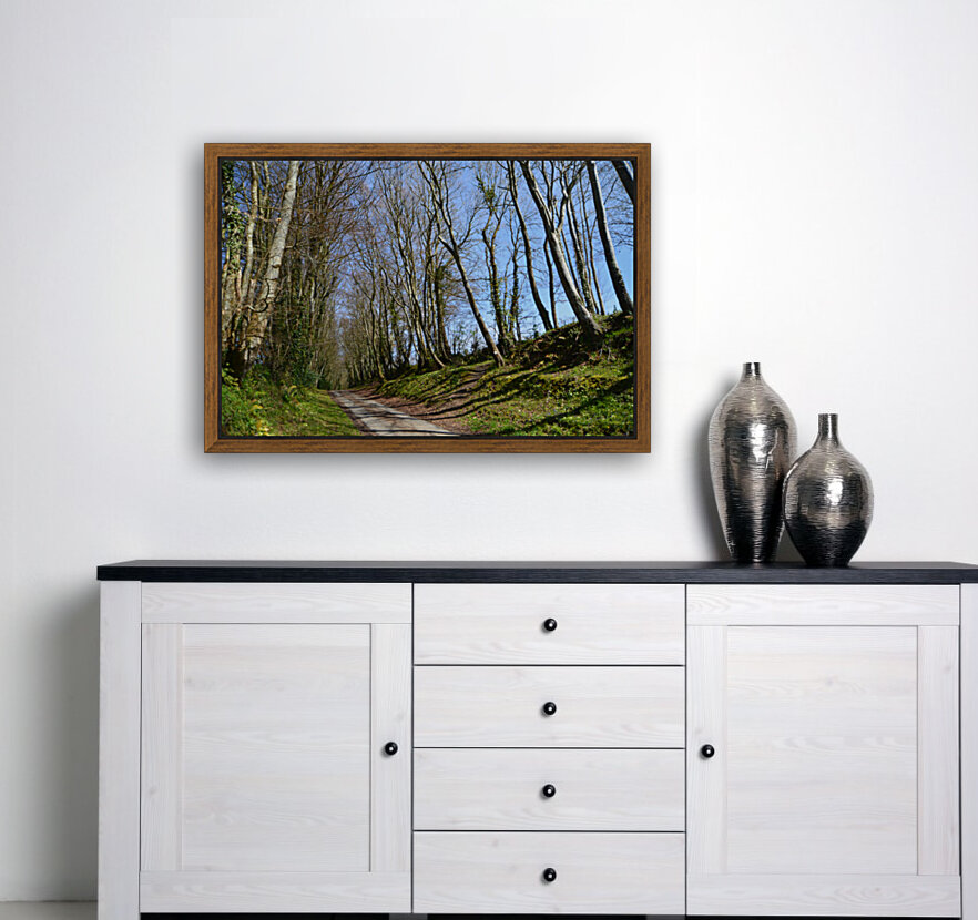 wooded path Reproduction