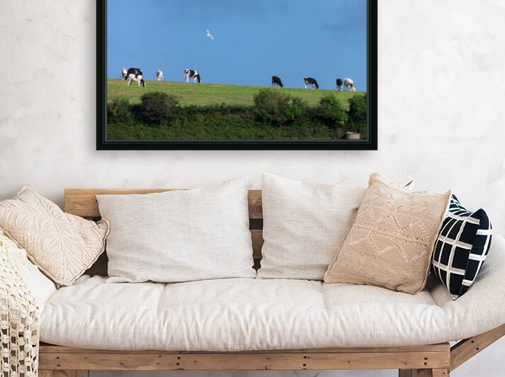 ciel aux vaches by ch Ragaine