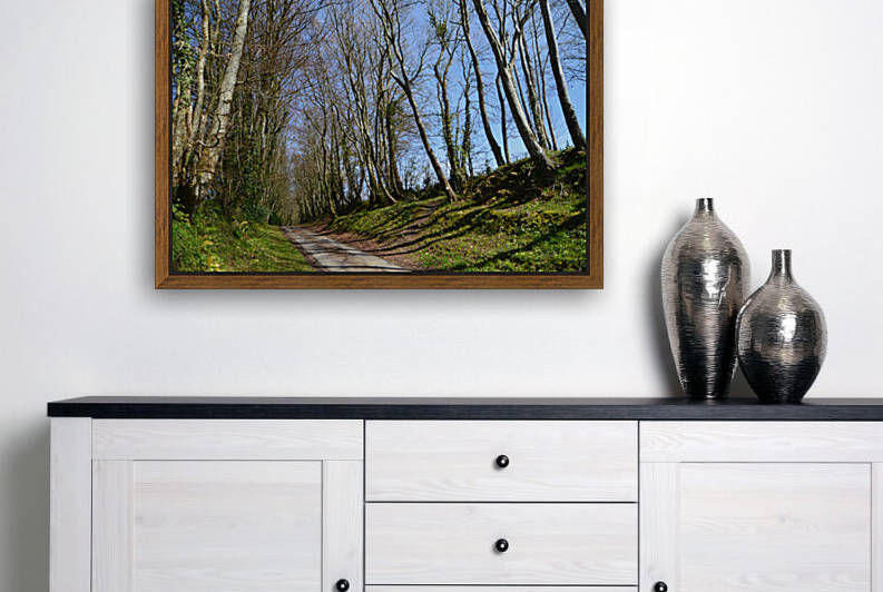 wooded path by ch Ragaine