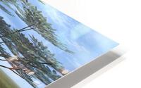 A l ombre des accacias HD Metal print