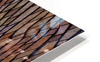 Dame nature HD Metal print