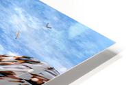 Cite des elites HD Metal print