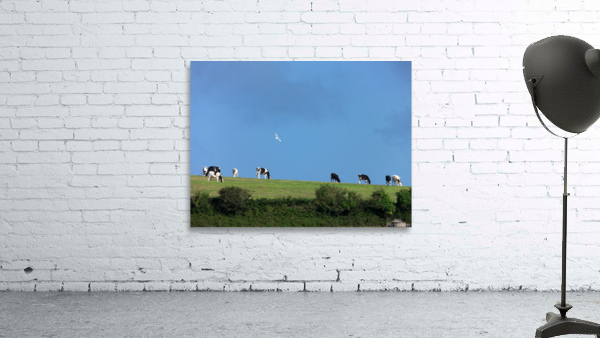 ciel aux vaches Wall Preview