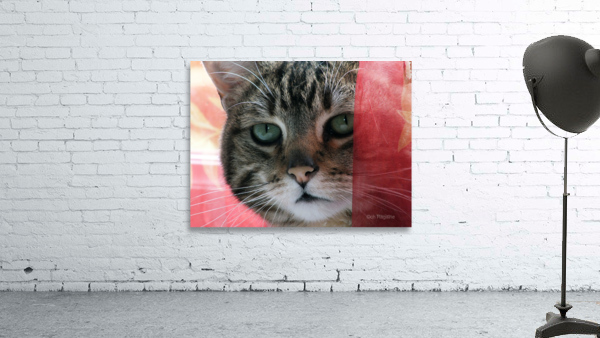 malou01 Wall Preview