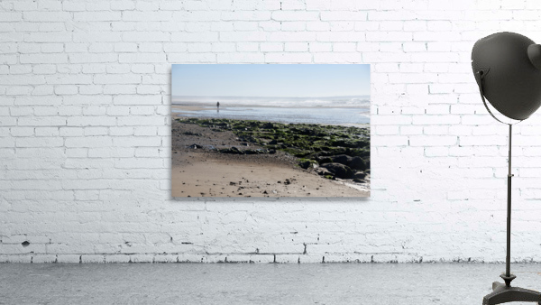 Seul sur le sable Wall Preview