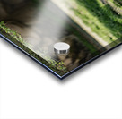 We See You Acrylic print