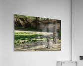 We See You Acrylic Print