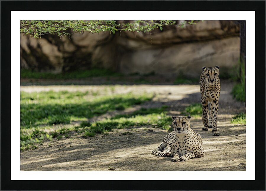 We See You Picture Frame print