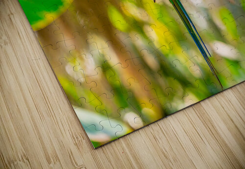 Sleepytime Parrot C R Fine Arts by Branded Exposure LLC puzzle