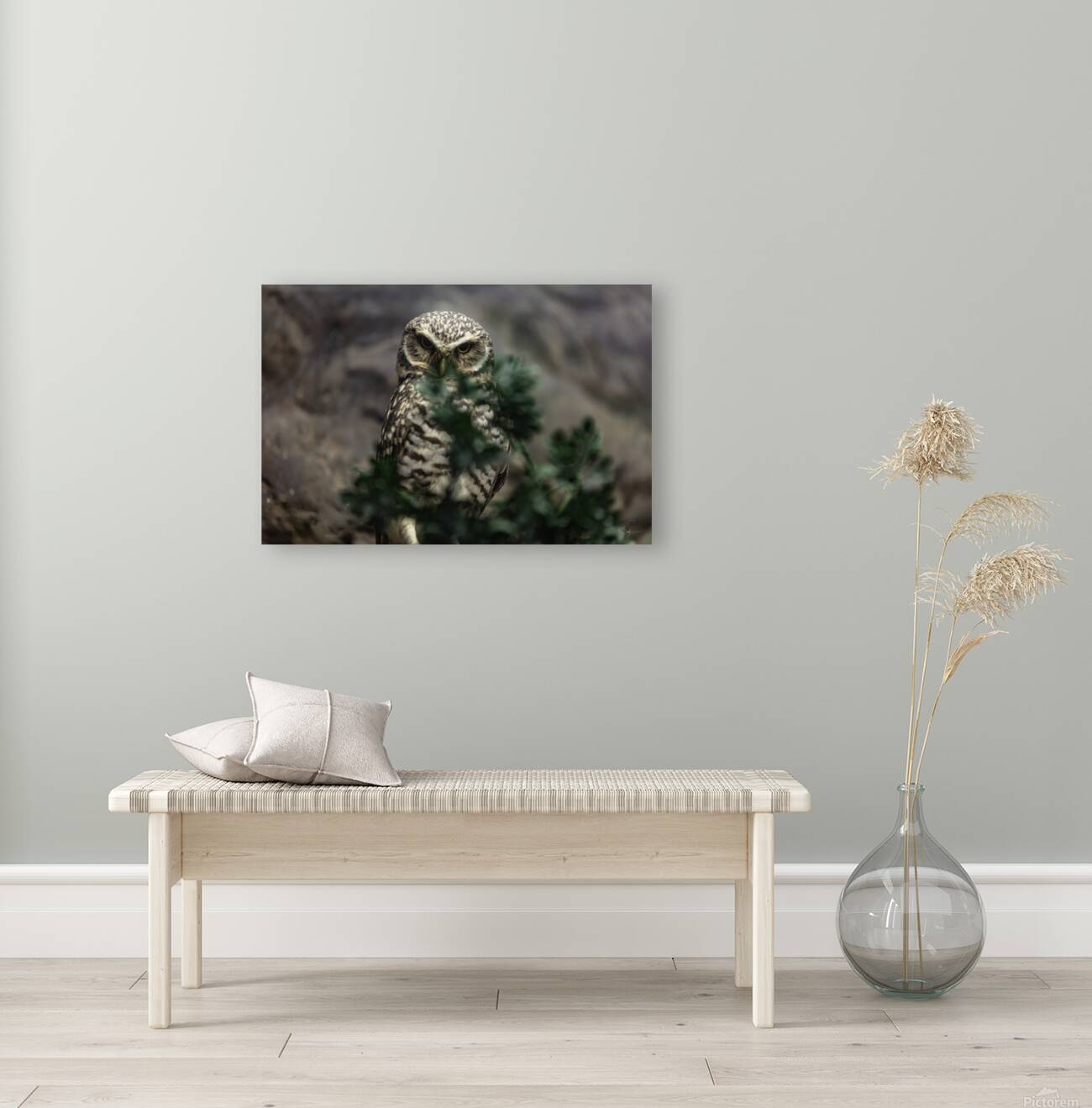 Who Who You Looking At Reproduction