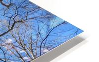 Abandoned Ministers Treehouse HD Metal print