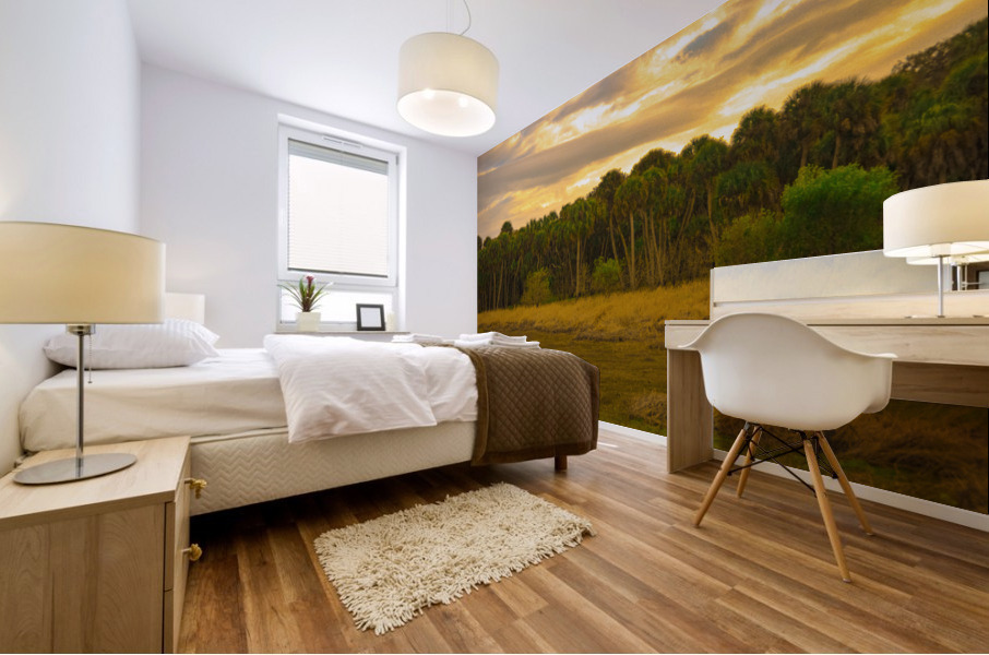 Swamp Cabbage Sunrise Mural print