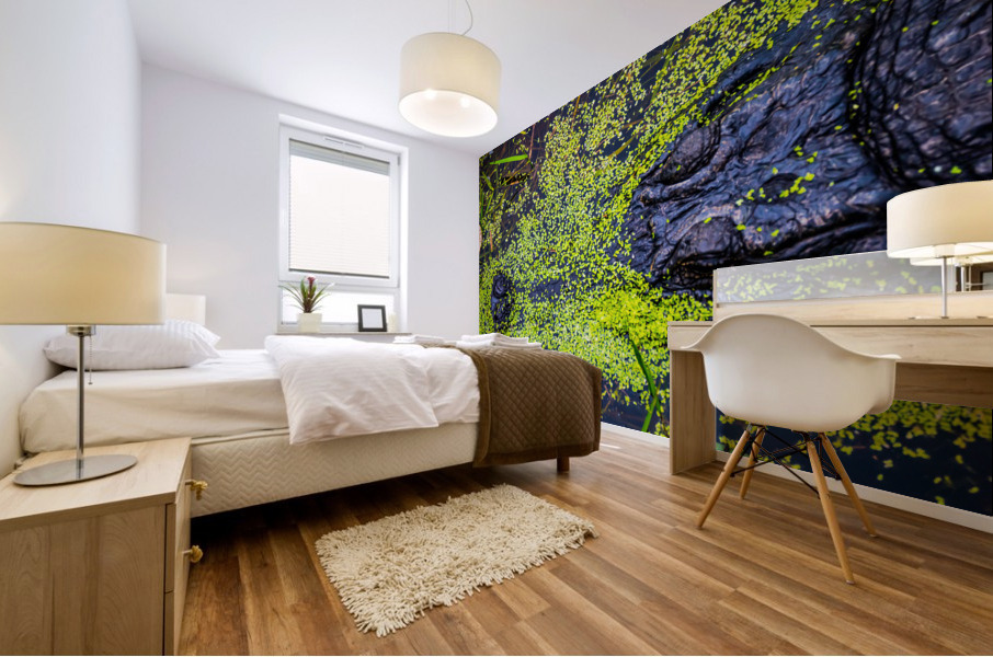 Bull Gator Mural print