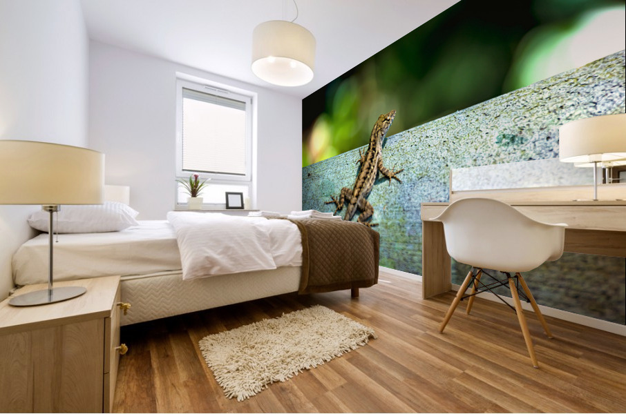 Lizard Basking Mural print