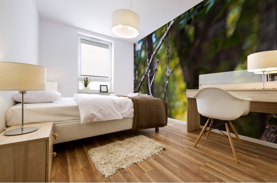  H2A2434 Enhanced Mural print
