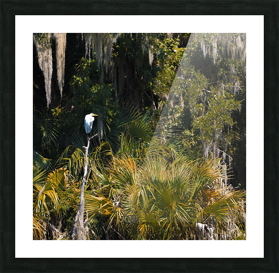 H2A8125 Enhanced Picture Frame print
