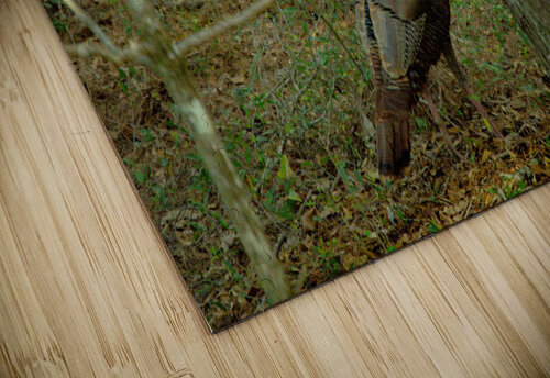 Gobbler Hemingway Natural Photography puzzle