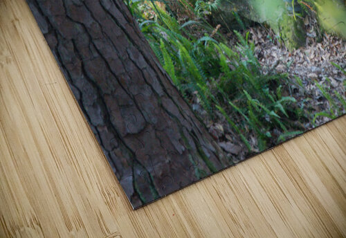 Time to Relax Hemingway Natural Photography puzzle