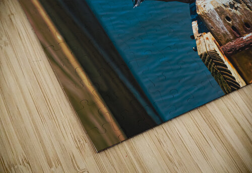 Brown Pelican Hemingway Natural Photography puzzle