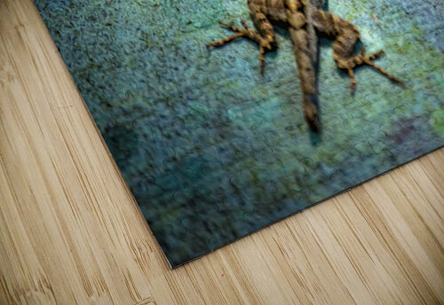 Lizard Basking Hemingway Natural Photography puzzle