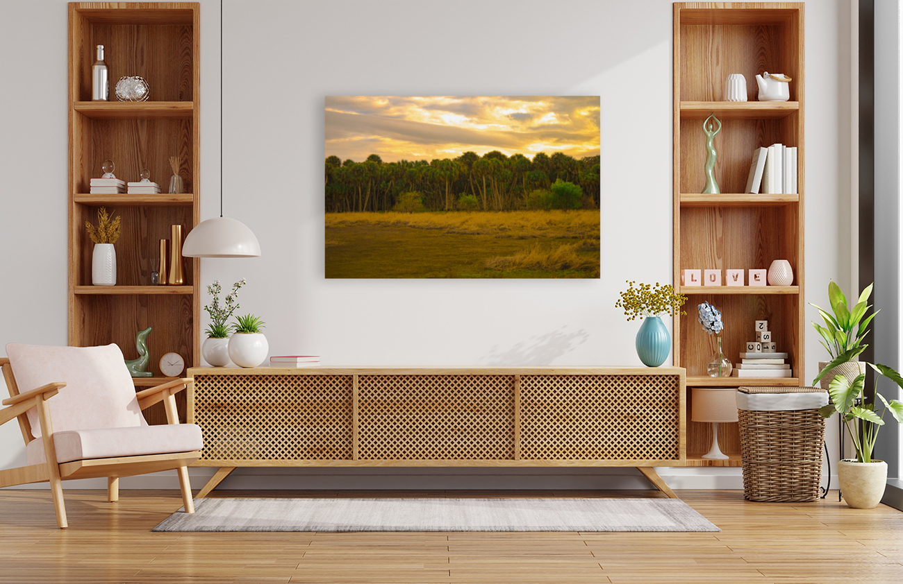 Swamp Cabbage Sunrise Reproduction