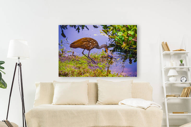 Enjoying Escargot by Hemingway Natural Photography