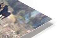  H2A1989 Enhanced HD Metal print