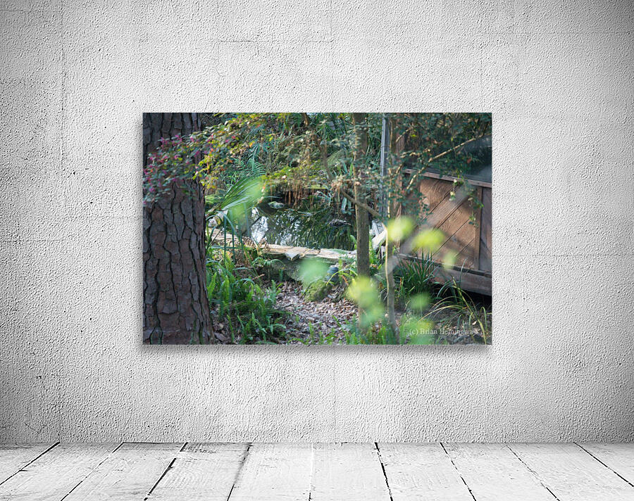 Time to Relax Wall Preview