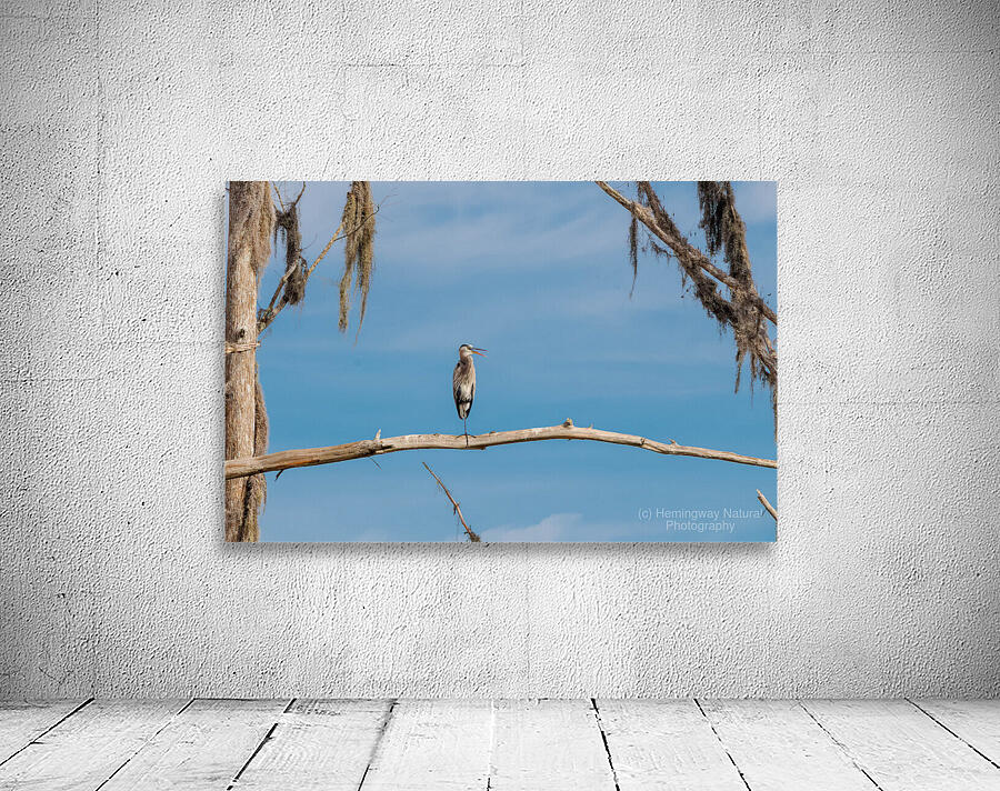 Blue Heron  Wall Preview