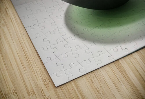 Quantum fluid bowl David L Speck puzzle