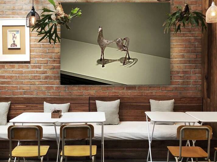 My horse by David L Speck