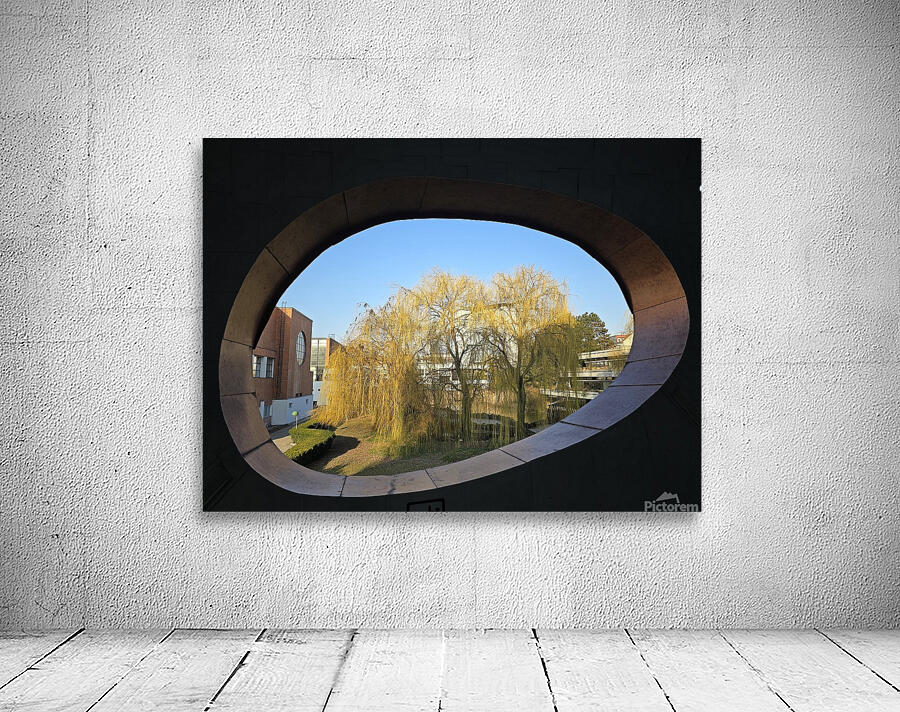 Willows portal Wall Preview