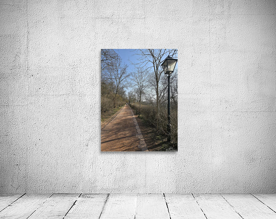 Paths 1 Wall Preview