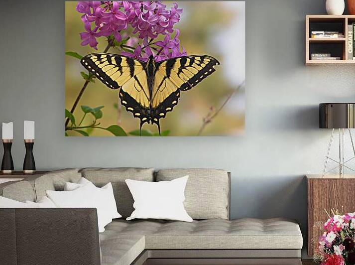 Eastrern Tiger Swallowtail Butterfly by True Elements Discovery