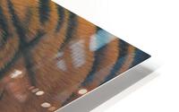 Stripes HD Metal print