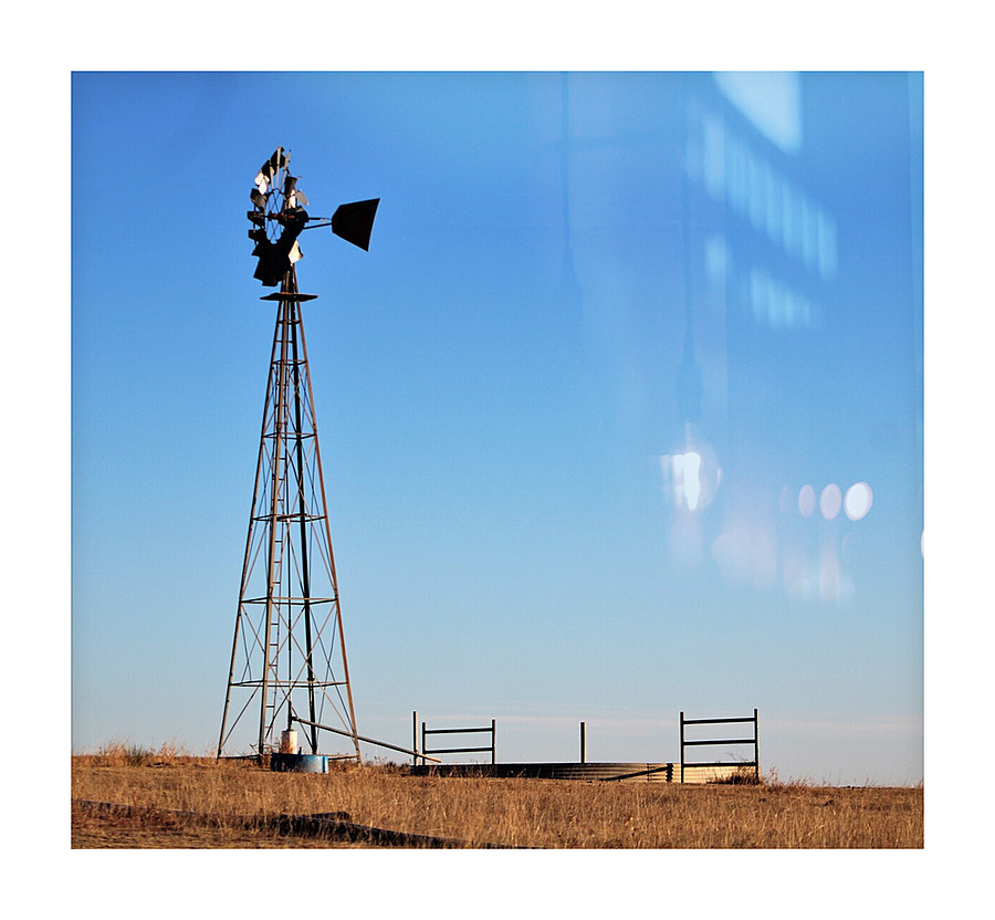 Watering Hole Picture Frame print