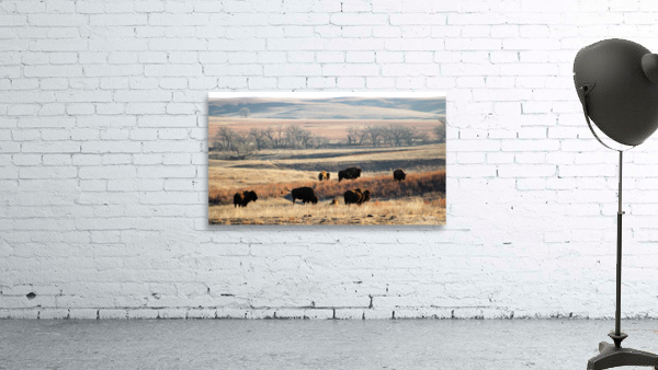 Morning View Wall Preview