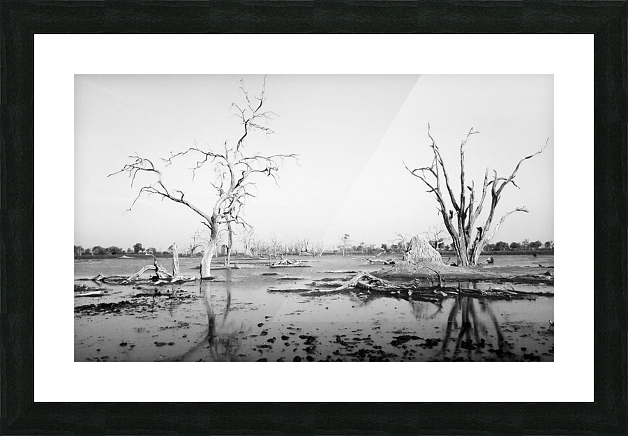 AdriaanPrinsloo 103951 Picture Frame print
