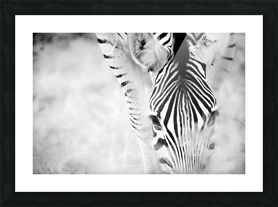 AdriaanPrinsloo 6718 Picture Frame print