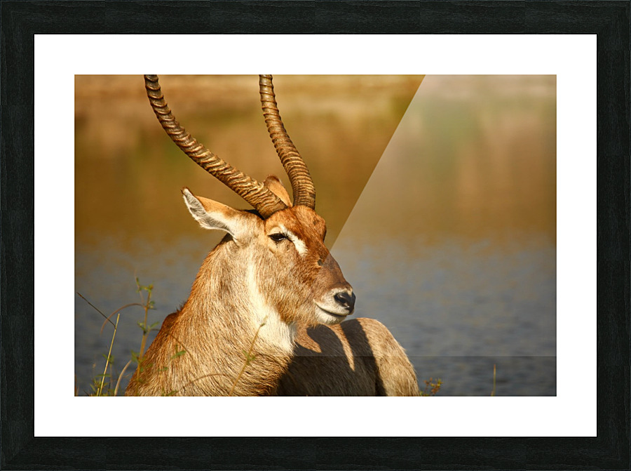 AdriaanPrinsloo 9455 Picture Frame print