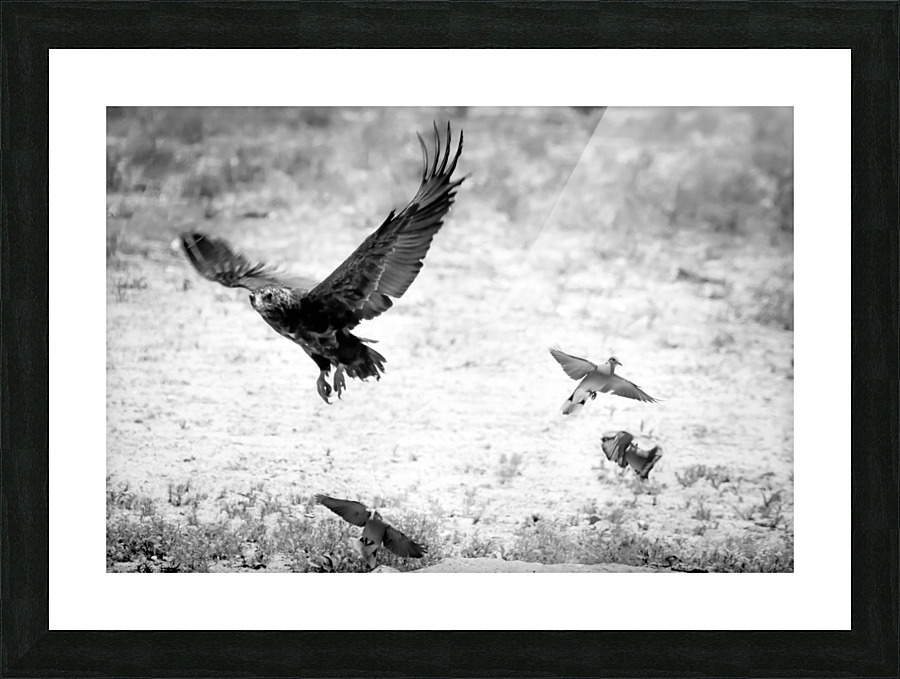 AdriaanPrinsloo 7140 Picture Frame print