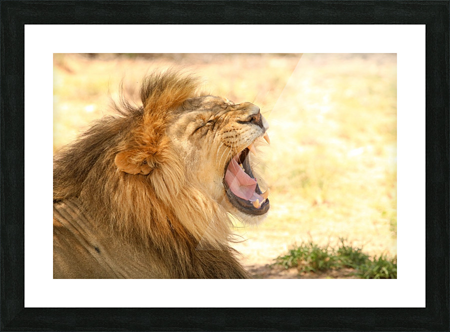 AdriaanPrinsloo 6851 2 Picture Frame print