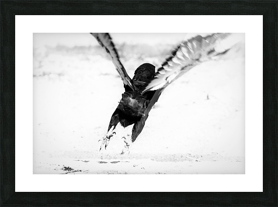 AdriaanPrinsloo 7176 Picture Frame print