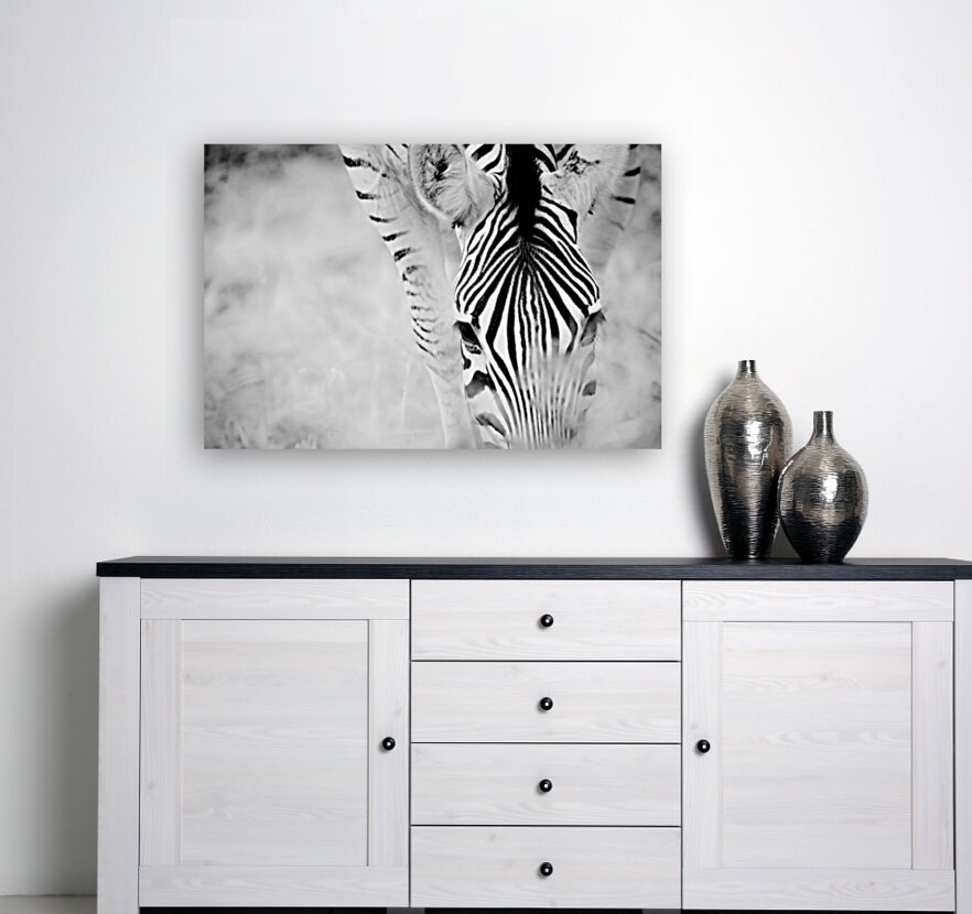 AdriaanPrinsloo 6718 Reproduction