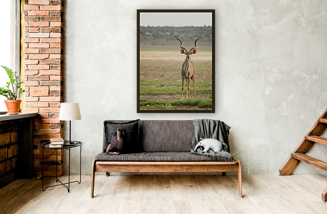 AdriaanPrinsloo 6071 2 Reproduction