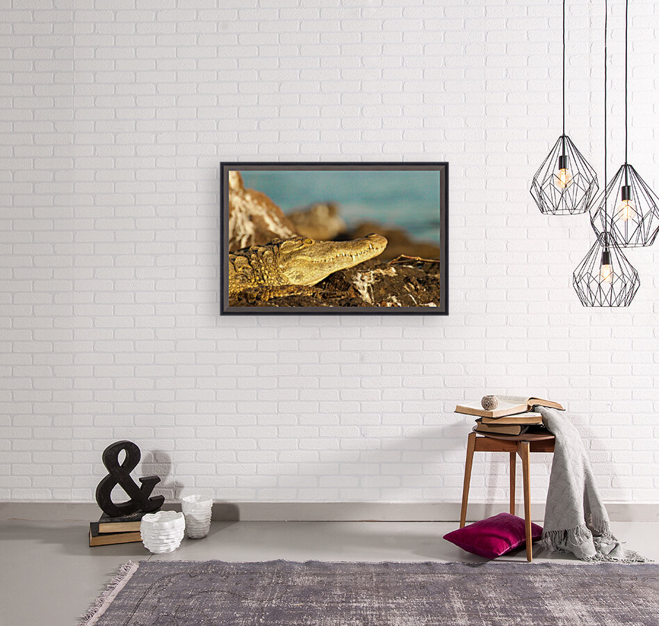 AdriaanPrinsloo 8074 Reproduction