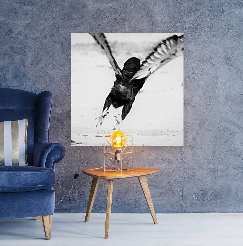 AdriaanPrinsloo 7176 Reproduction