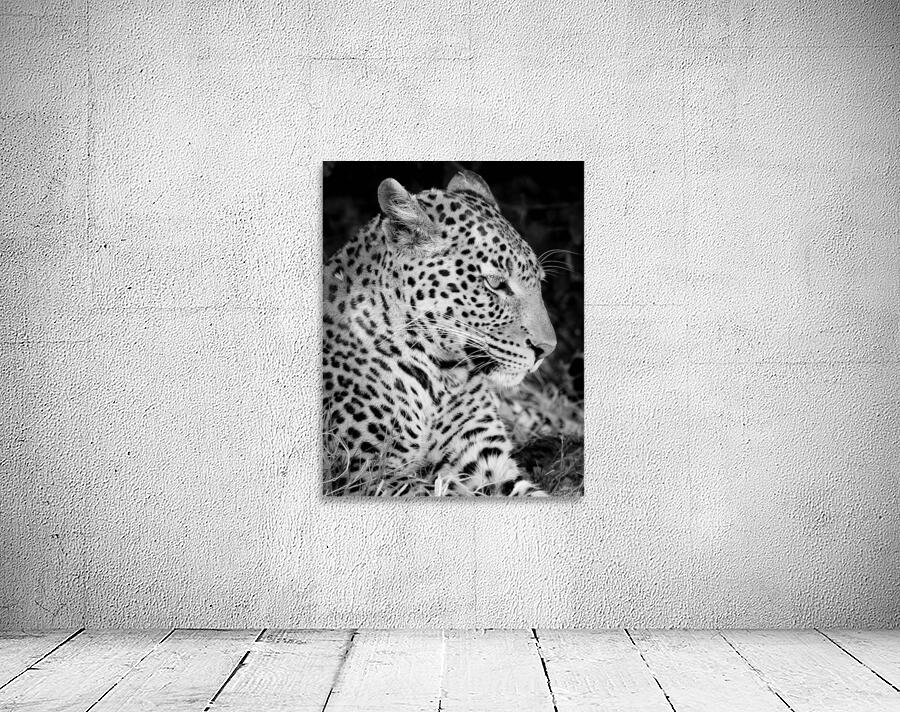 AdriaanPrinsloo 7647 Wall Preview