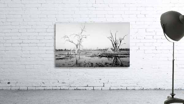 AdriaanPrinsloo 103951 Wall Preview