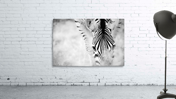 AdriaanPrinsloo 6718 Wall Preview